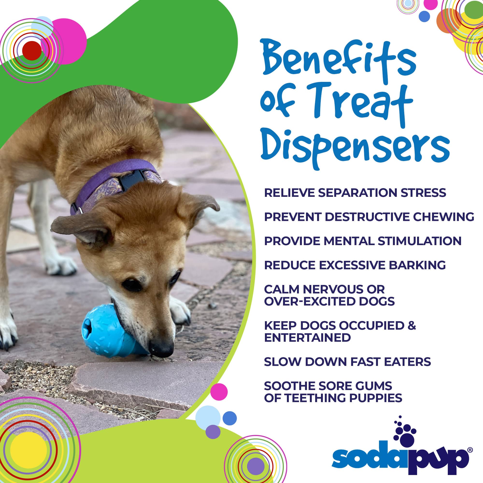 The Boredom Buster Every Dog Needs