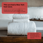 Temperature-Regulating Eucalyptus Silk Comforter