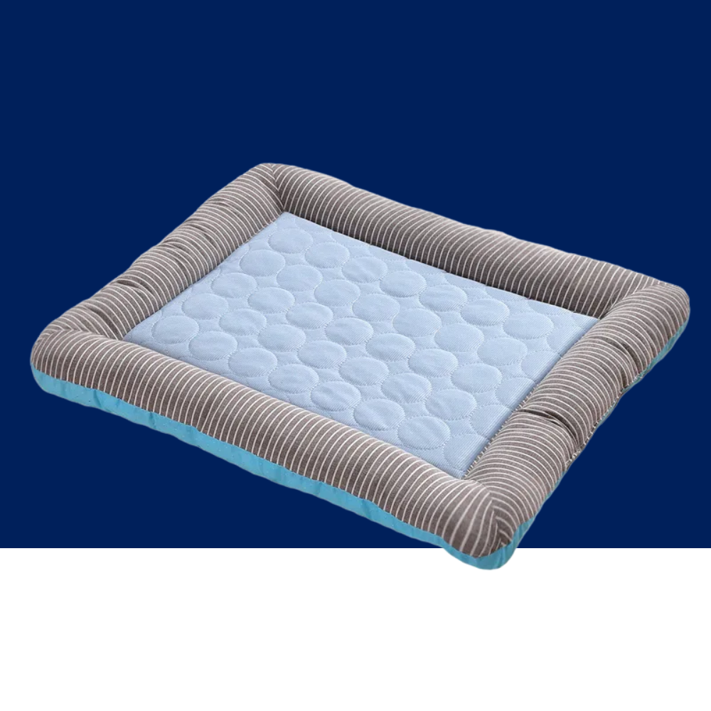 Cooling Bed That Helps Pets Beat the Heat