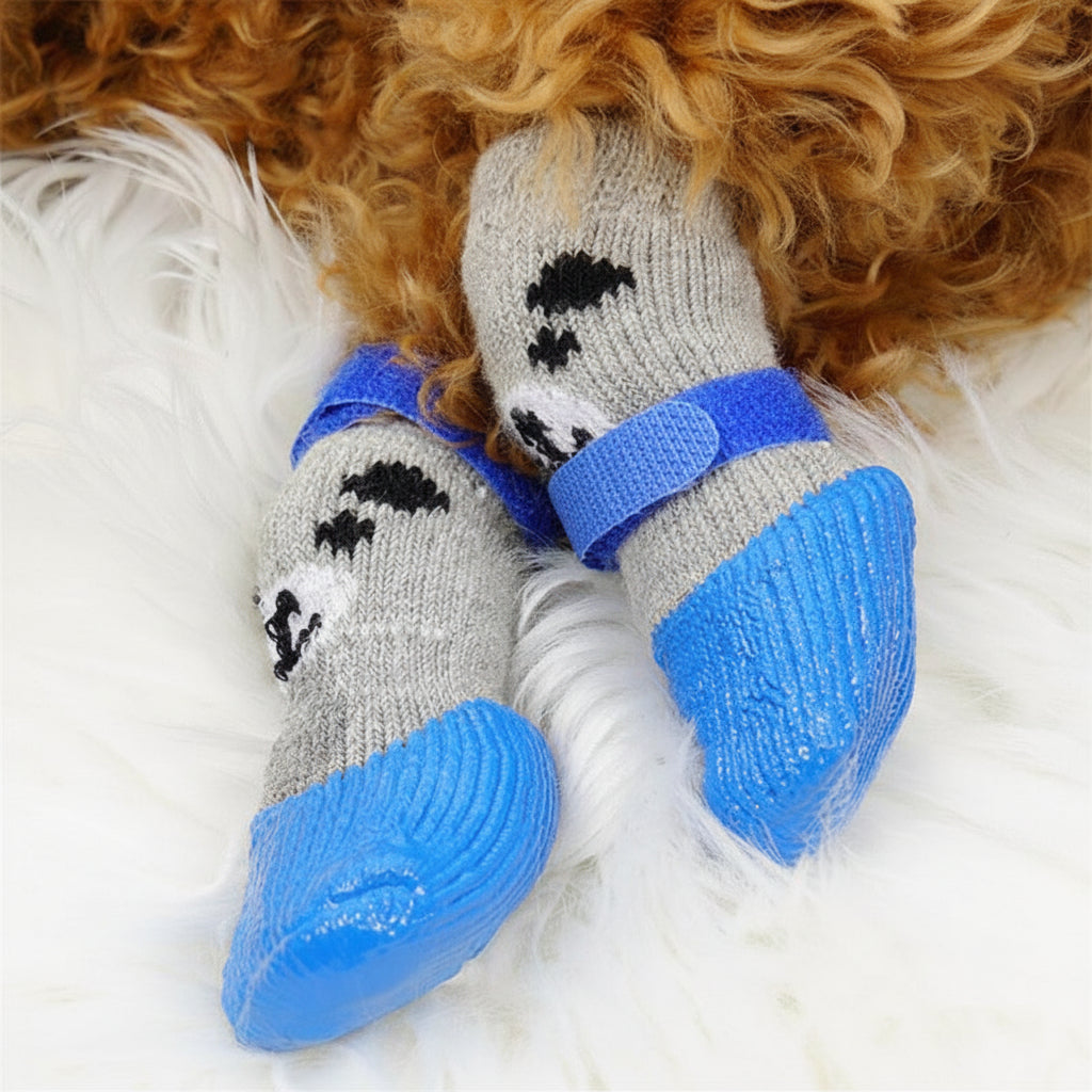 Paw Protectors for Scorching Sidewalks