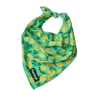 Cooling Bandana for Hot Summer Walks