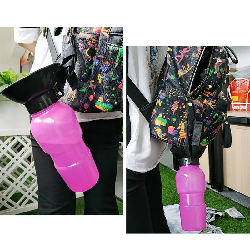 Portable Pet Water Bottle That Prevents Overheating