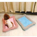 Cooling Bed That Helps Pets Beat the Heat