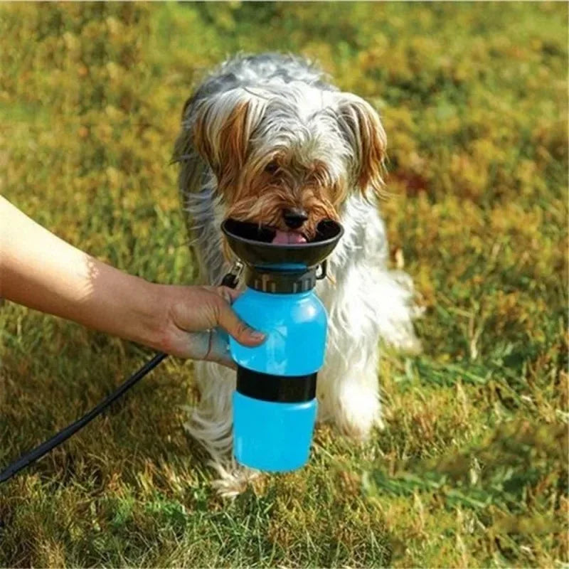 Portable Pet Water Bottle That Prevents Overheating