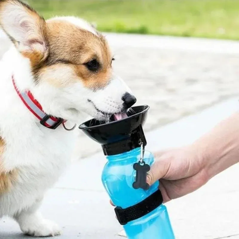 Portable Pet Water Bottle That Prevents Overheating