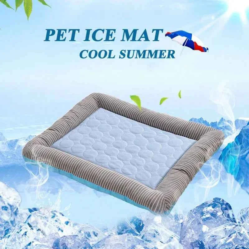 Cooling Bed That Helps Pets Beat the Heat