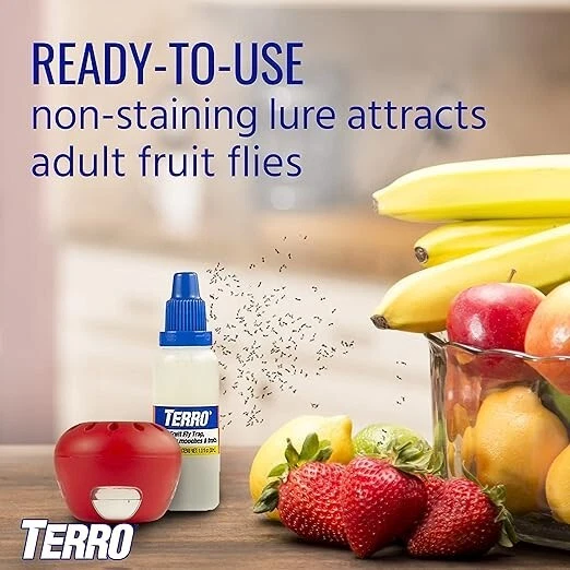 Traps That Get Rid of Fruit Flies For Up To 45 Days