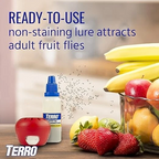 Traps That Get Rid of Fruit Flies For Up To 45 Days